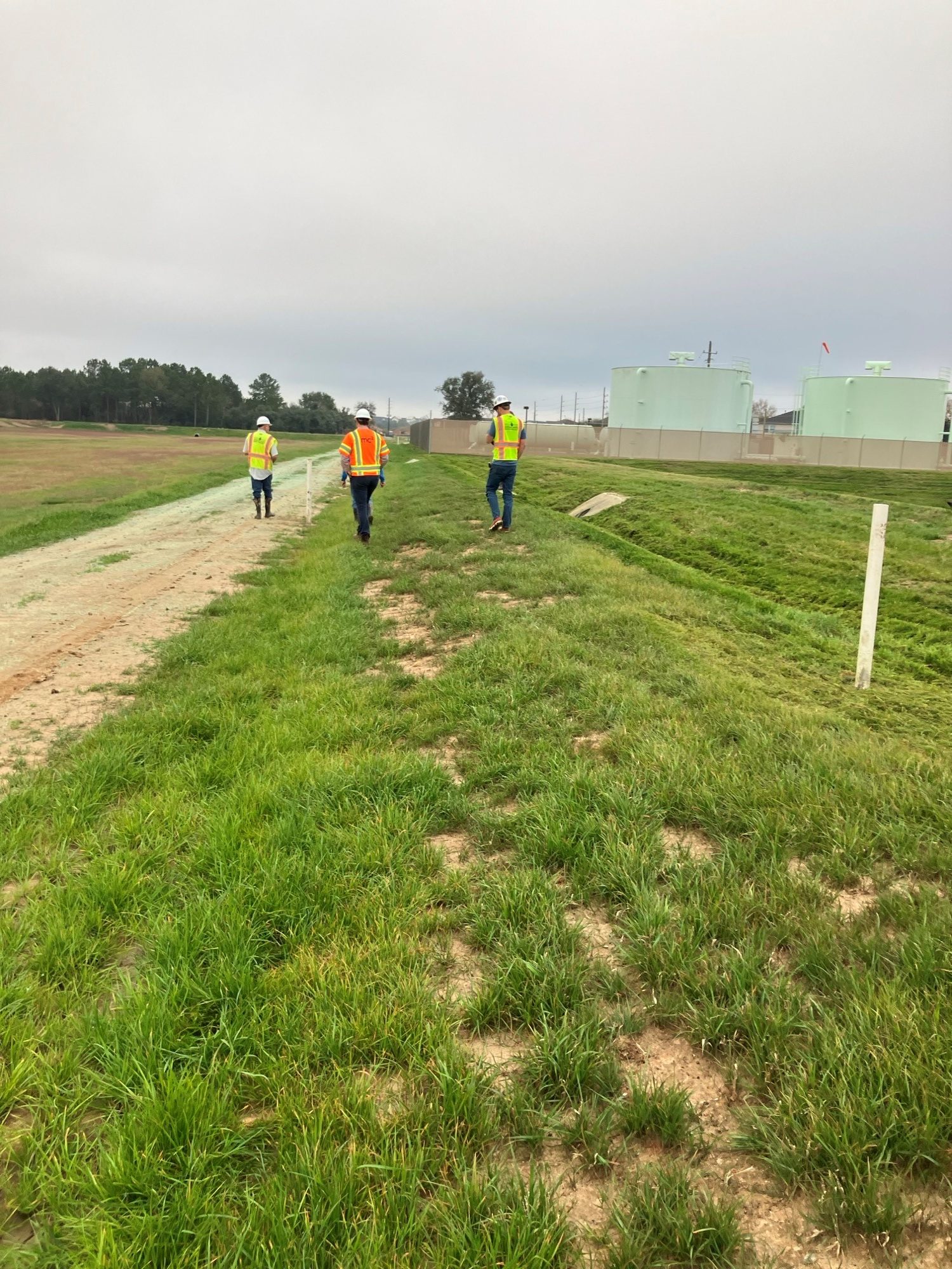 KM6 – Preliminary Surface Walk January 2026